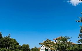 Change The World - Solar De Alvega